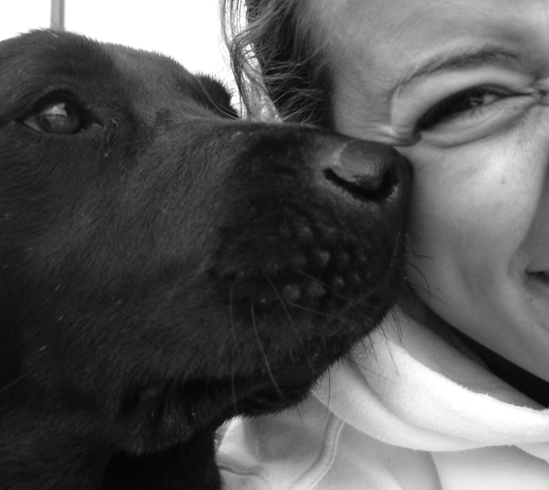 Pet image for afterlife guarantee