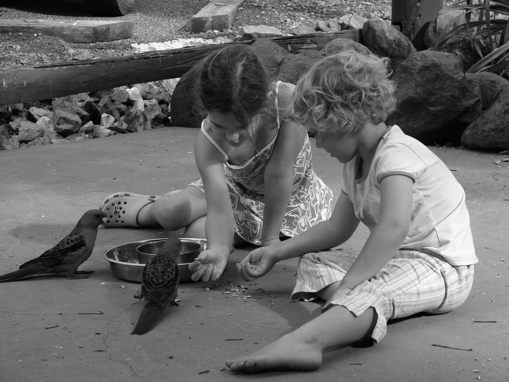 Pet image for afterlife guarantee