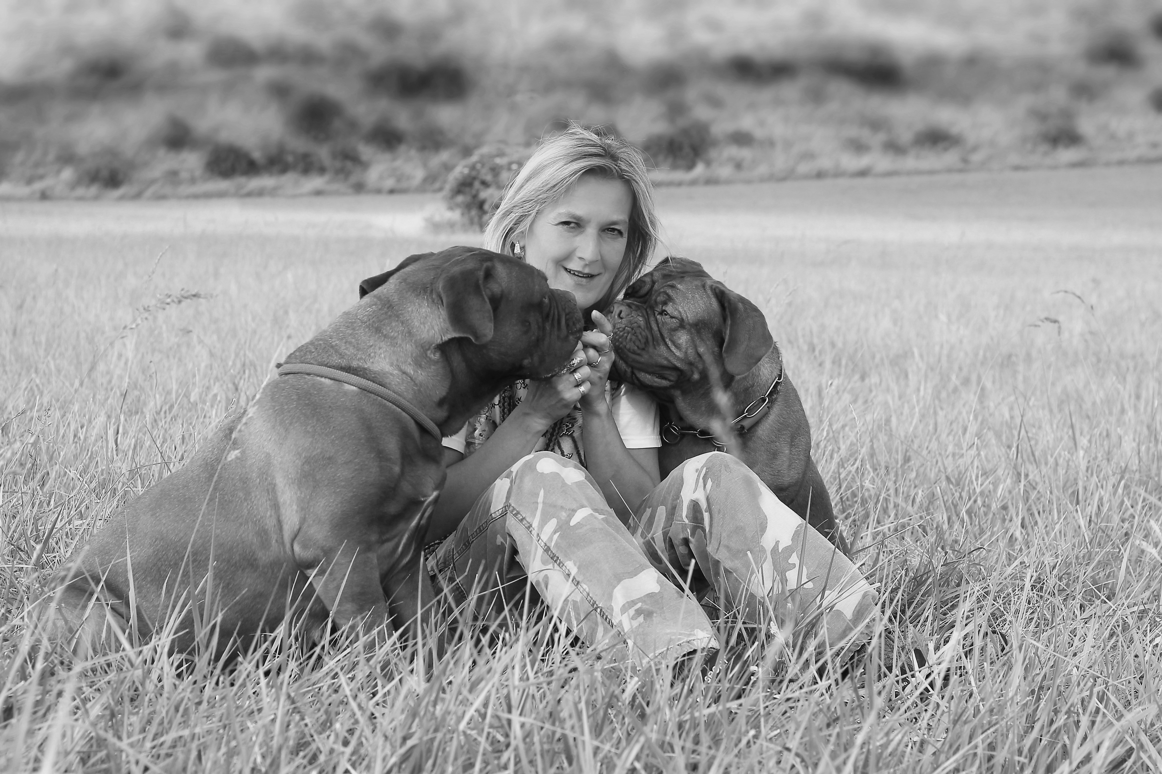 Pet image for afterlife guarantee